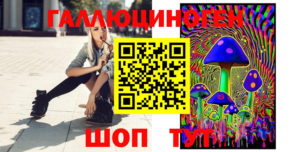 Галлюциногенные грибы Psilocybine cubensis Сызрань