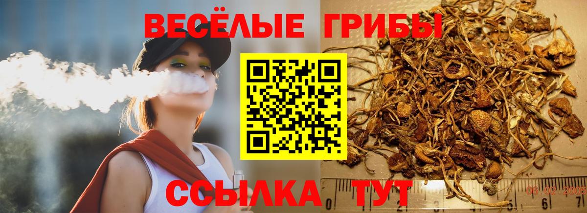 Галлюциногенные грибы прущие грибы  Вход с VPN  Сызрань  Галлюциногенные грибы Psilocybe 